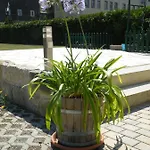 Appartement Kaitzbach-idylle